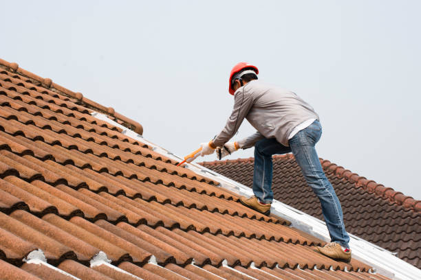 Best Steel Roofing  in Experiment, GA