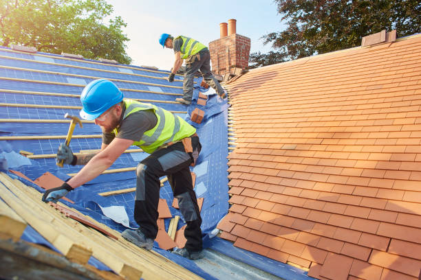 Best Cold Roofs  in Experiment, GA
